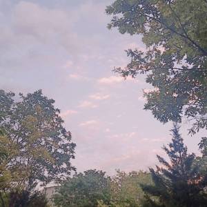 欧美大黑吊掌交
